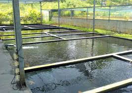 http://www.intime-univ.org/wp-content/uploads/2015/05/agriculture-aquaculture-4.jpg